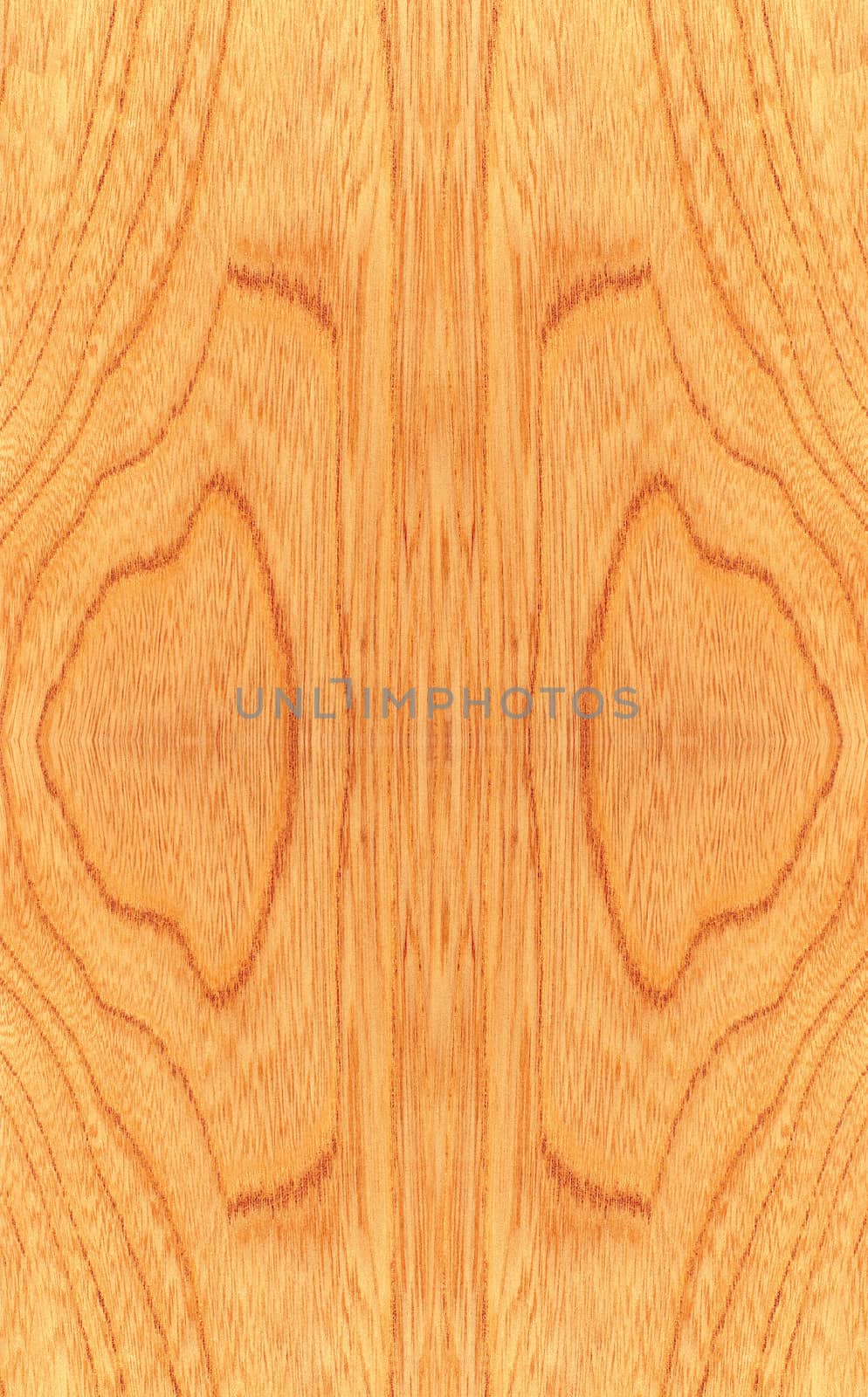 Texture of wood pattern background