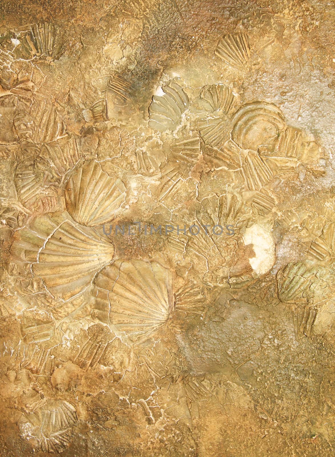 Shell sediment abstract background