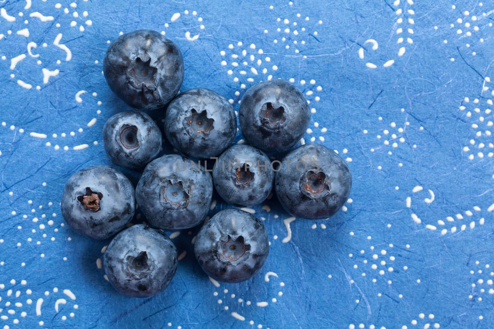 Blueberry on blue floral background