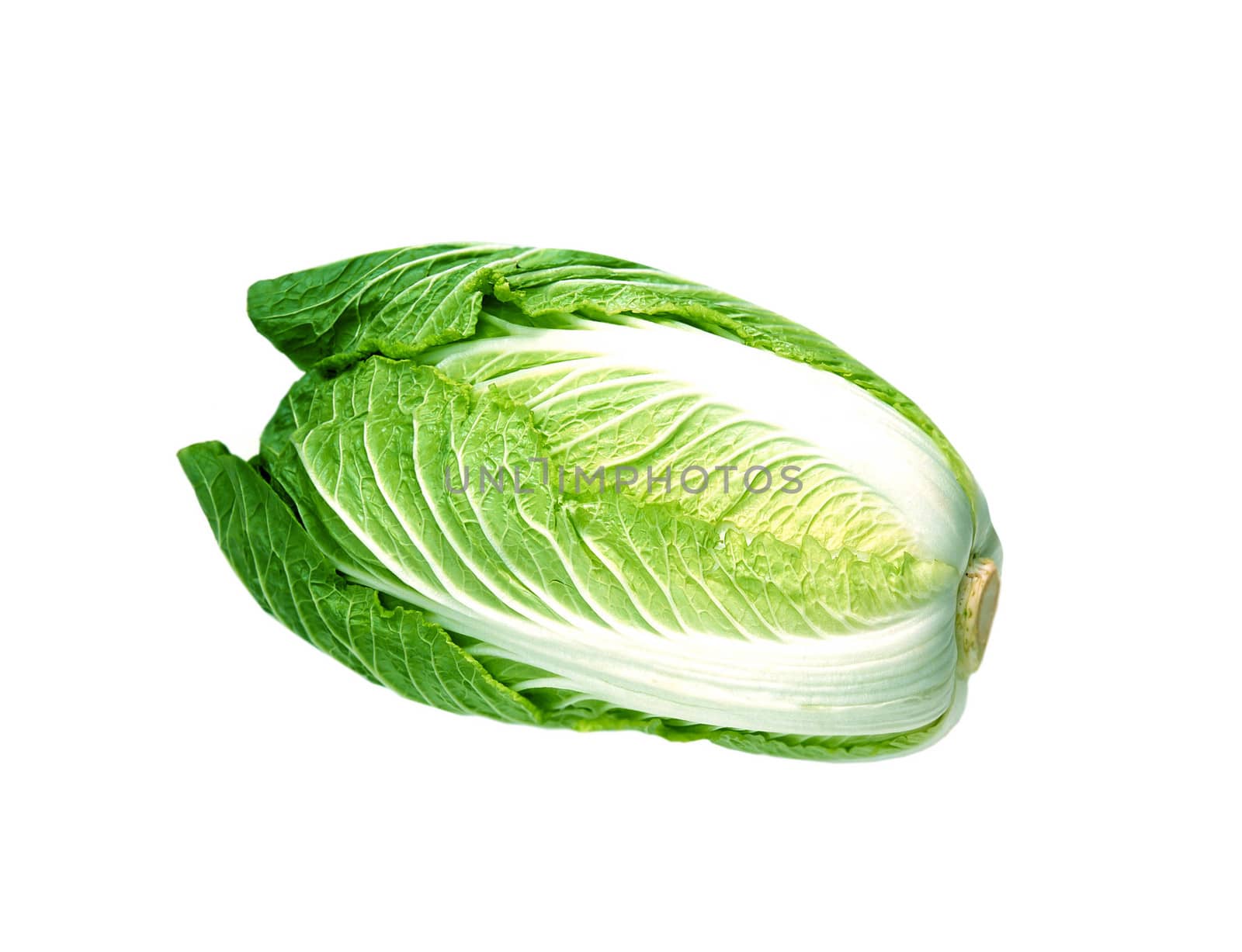 cabbage