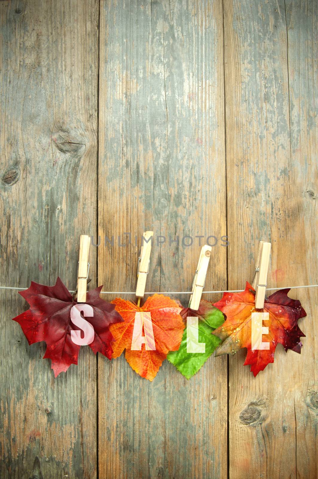 Autumn sales leaves hanging on a clothes line with pegs against a wooden background