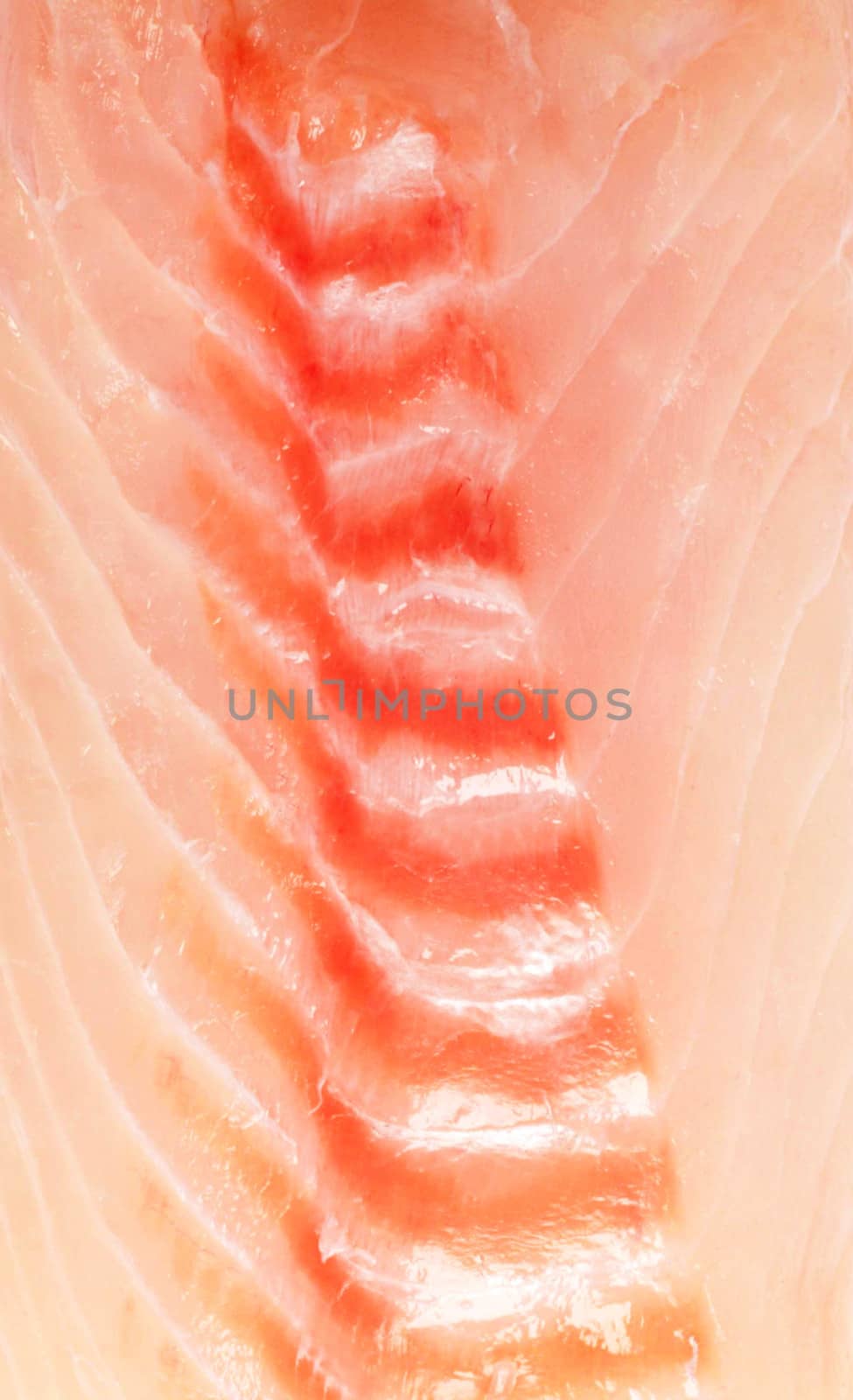 raw salmon fillet background by shutswis