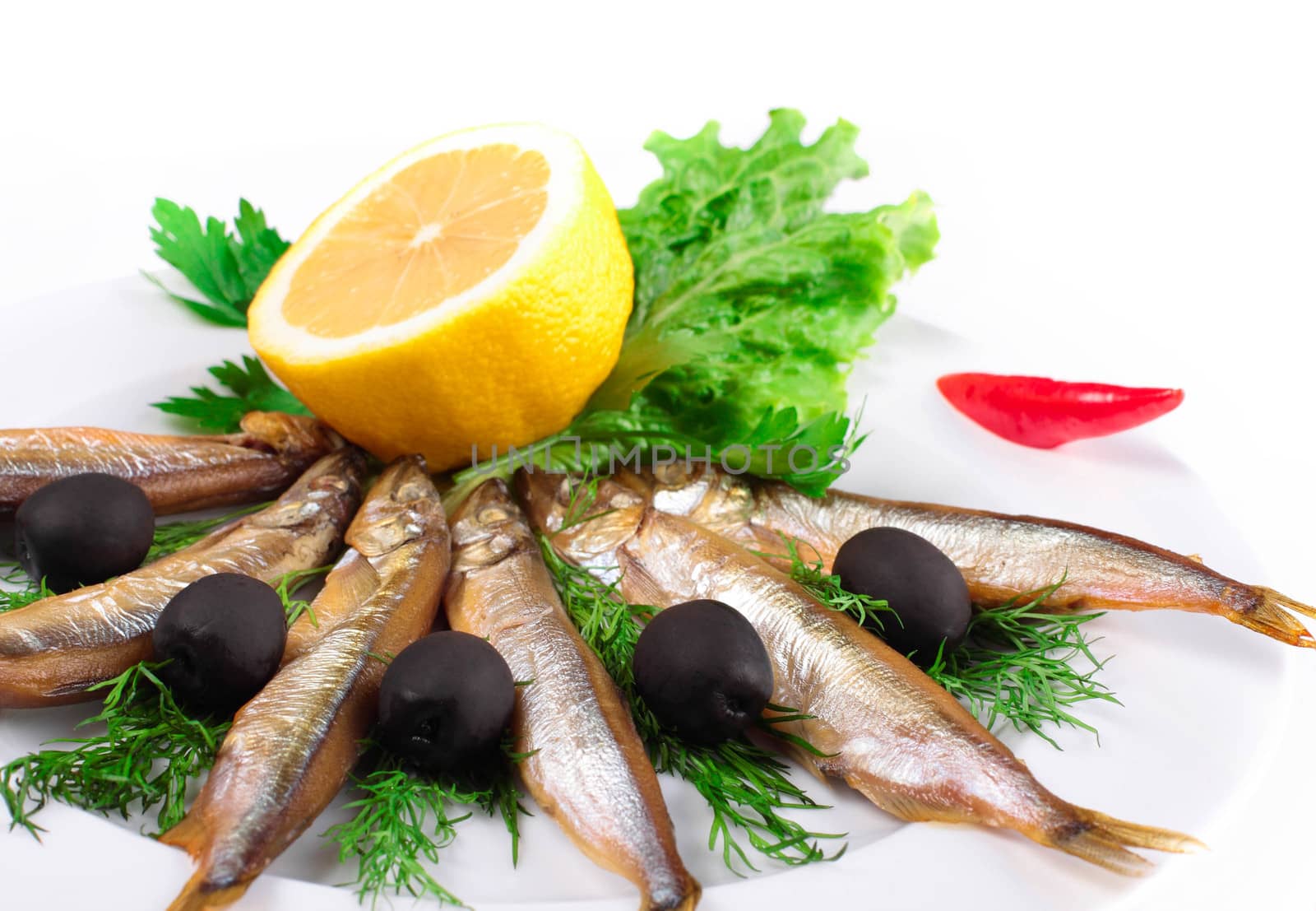 anchovies on white background by shutswis