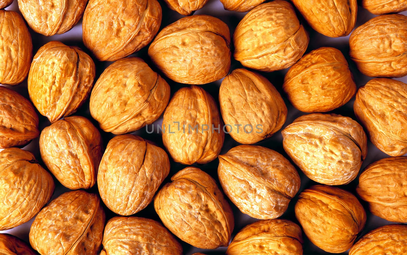 Background of ripe brown hazelnuts