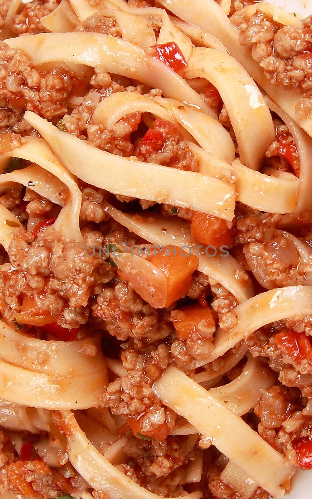 spaghetti pasta with tomato beef sauce