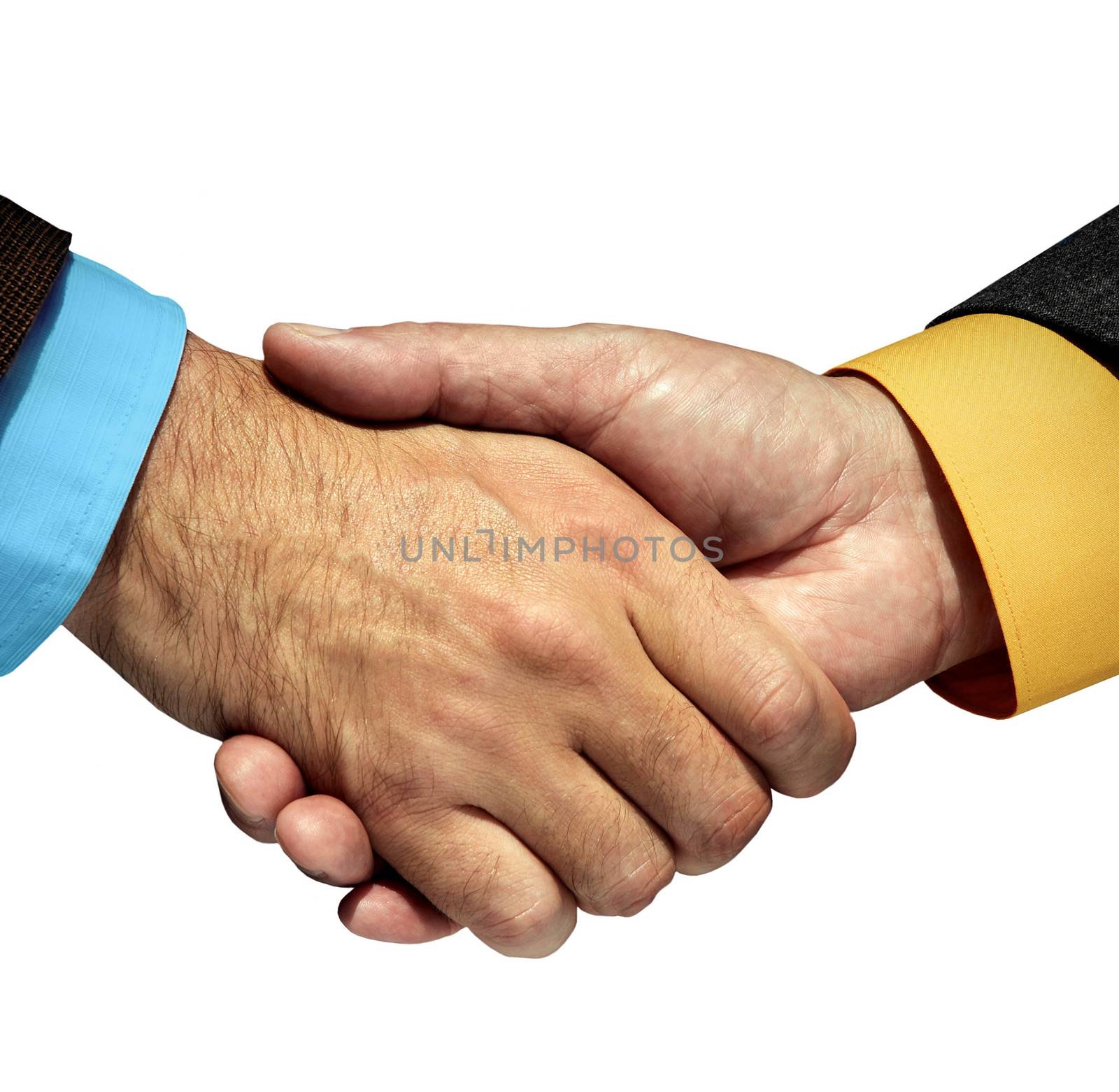 shaking hands by shutswis