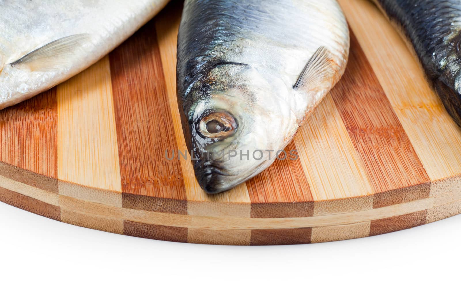 close up of fish head by shutswis