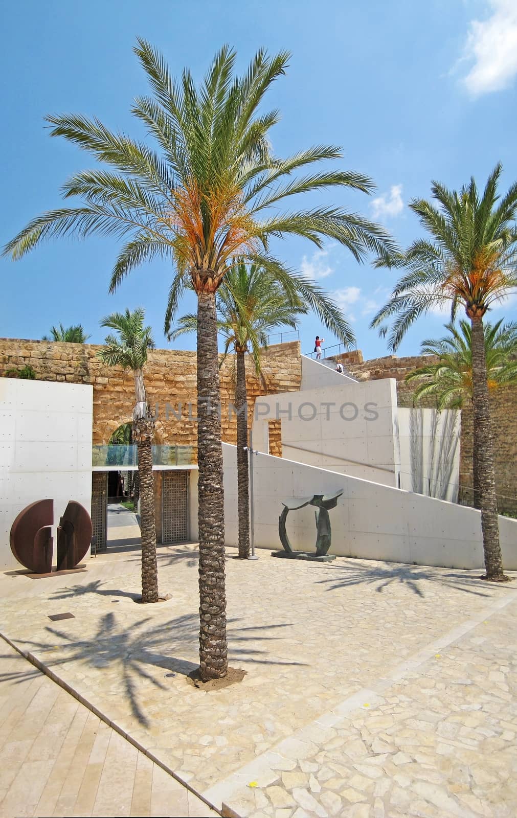 Palma de Majorca, Spain - June 25, 2008: Palms in the patio of museum Es Baluard Museu d'Art Modern i Contemporani de Palma