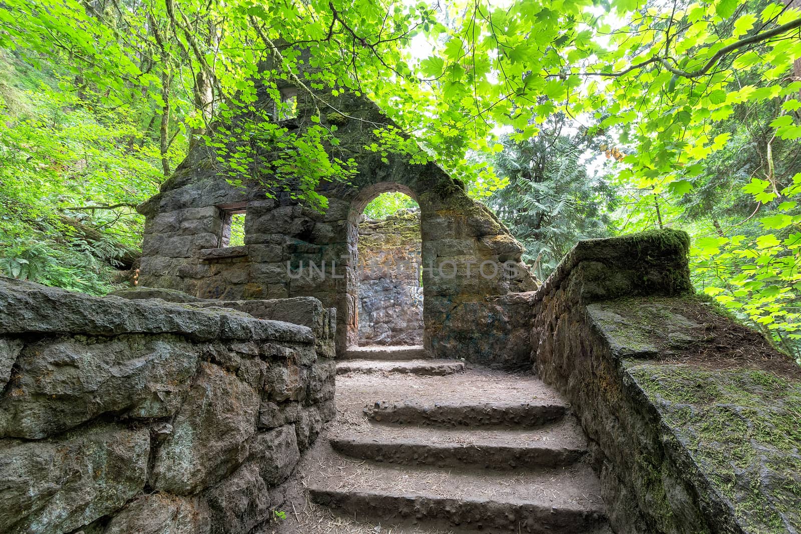 Abandoned stone castle house framed by Maple Trees at Wildwood Trail in Forest Park Portland Oregon