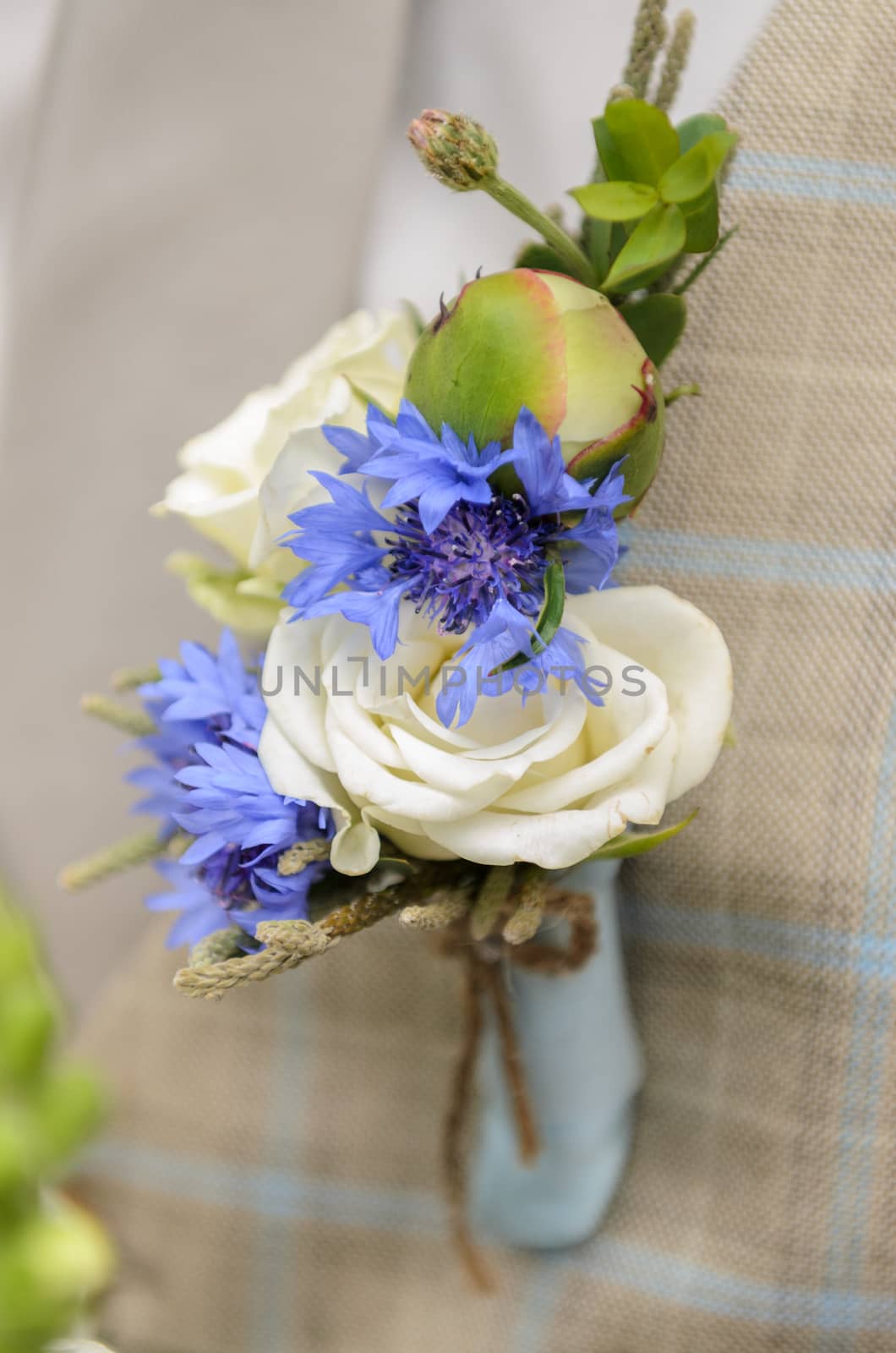 boutonniere by Andreua