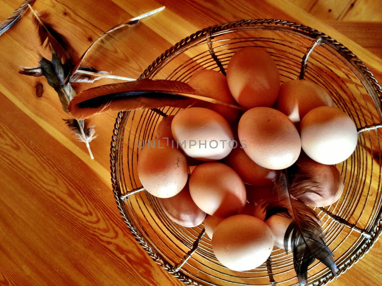 eggs in the backet, shoot taken from above