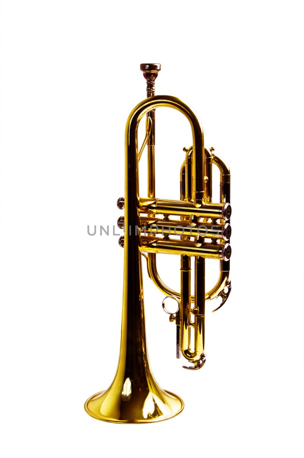 Brass trumpet isolated