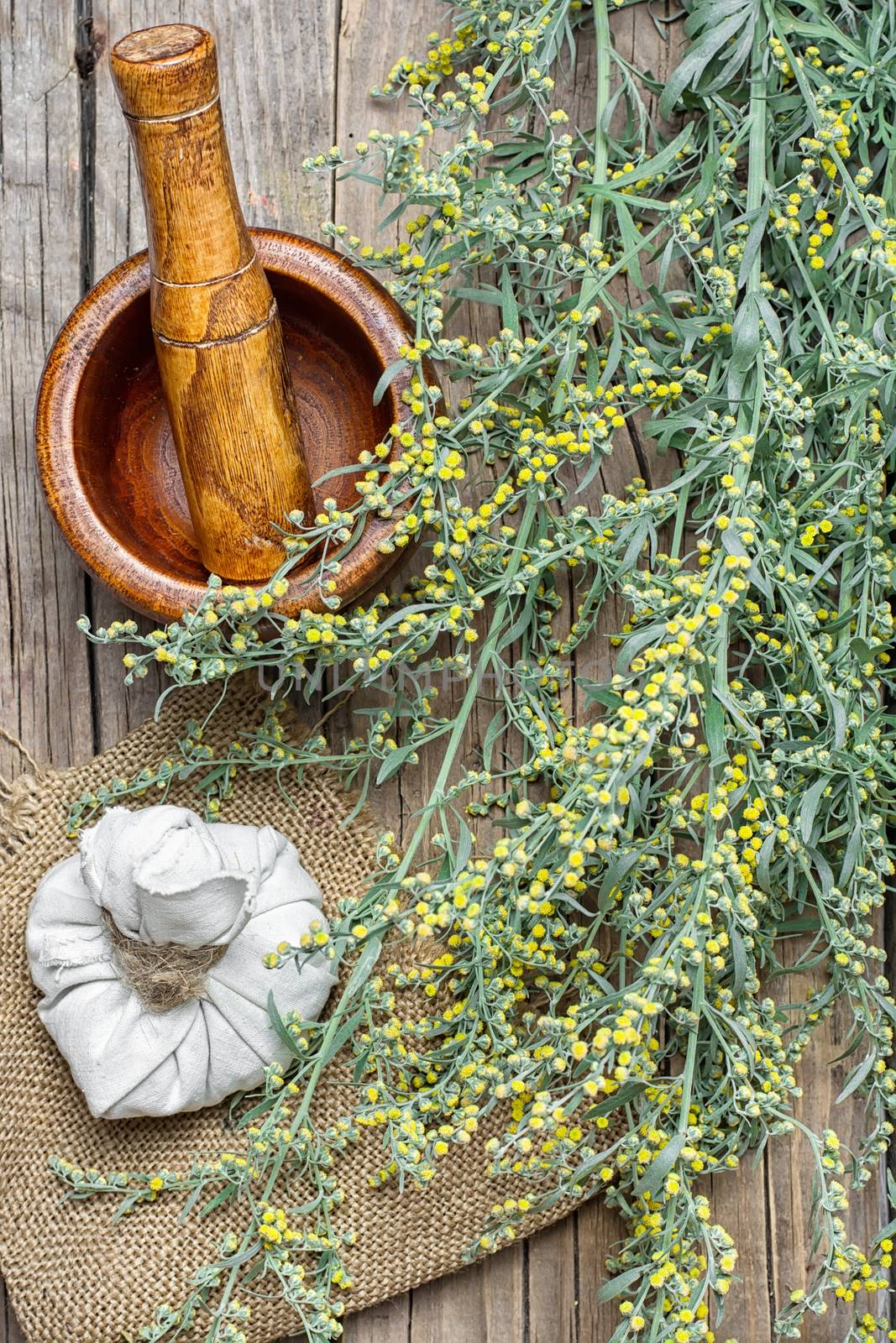 Branch of medicinal sage and mortar with pestle