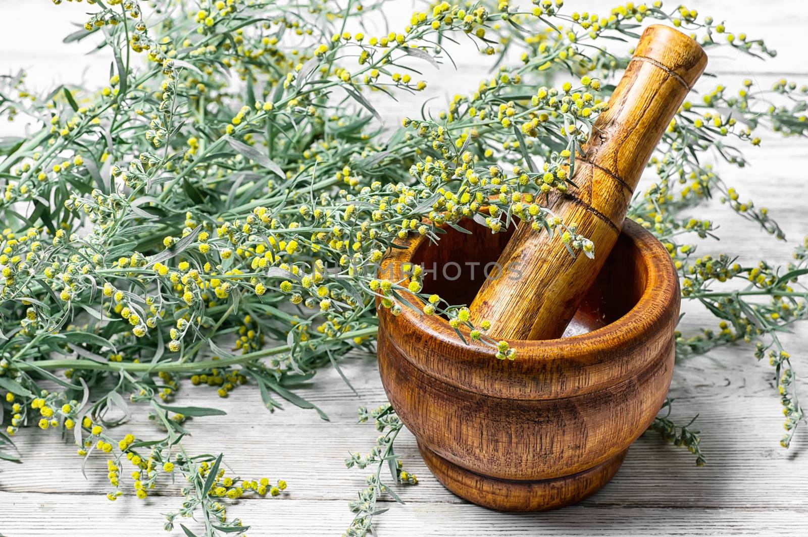 Branch of medicinal sage and mortar with pestle