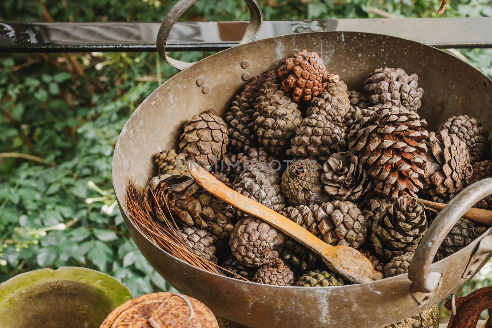 Pine cones in a rusty iron pan Ideas to decorate vintage style by nopparats