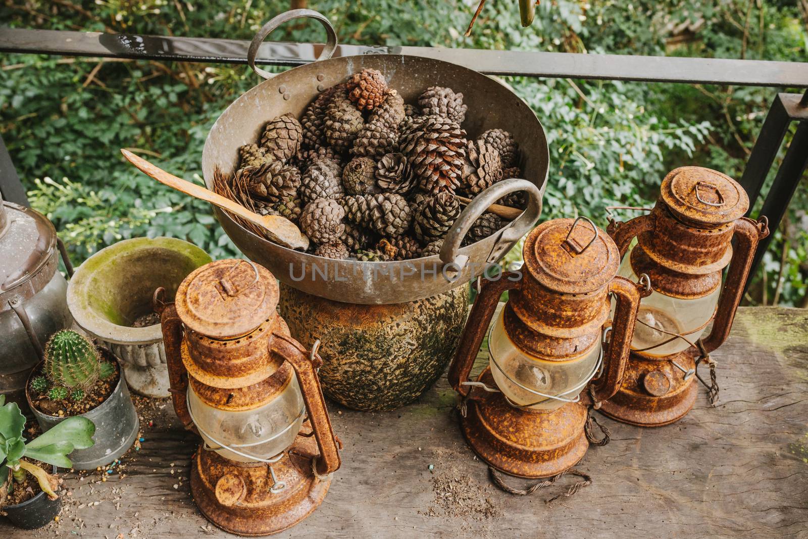 Pine cones in a rusty iron pan Ideas to decorate vintage style by nopparats