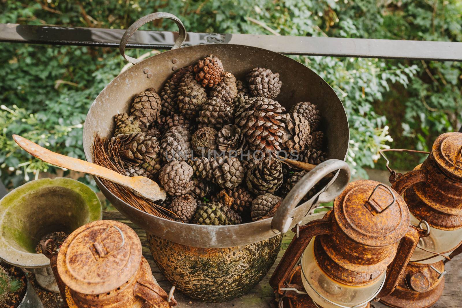 Pine cones in a rusty iron pan Ideas to decorate vintage style by nopparats
