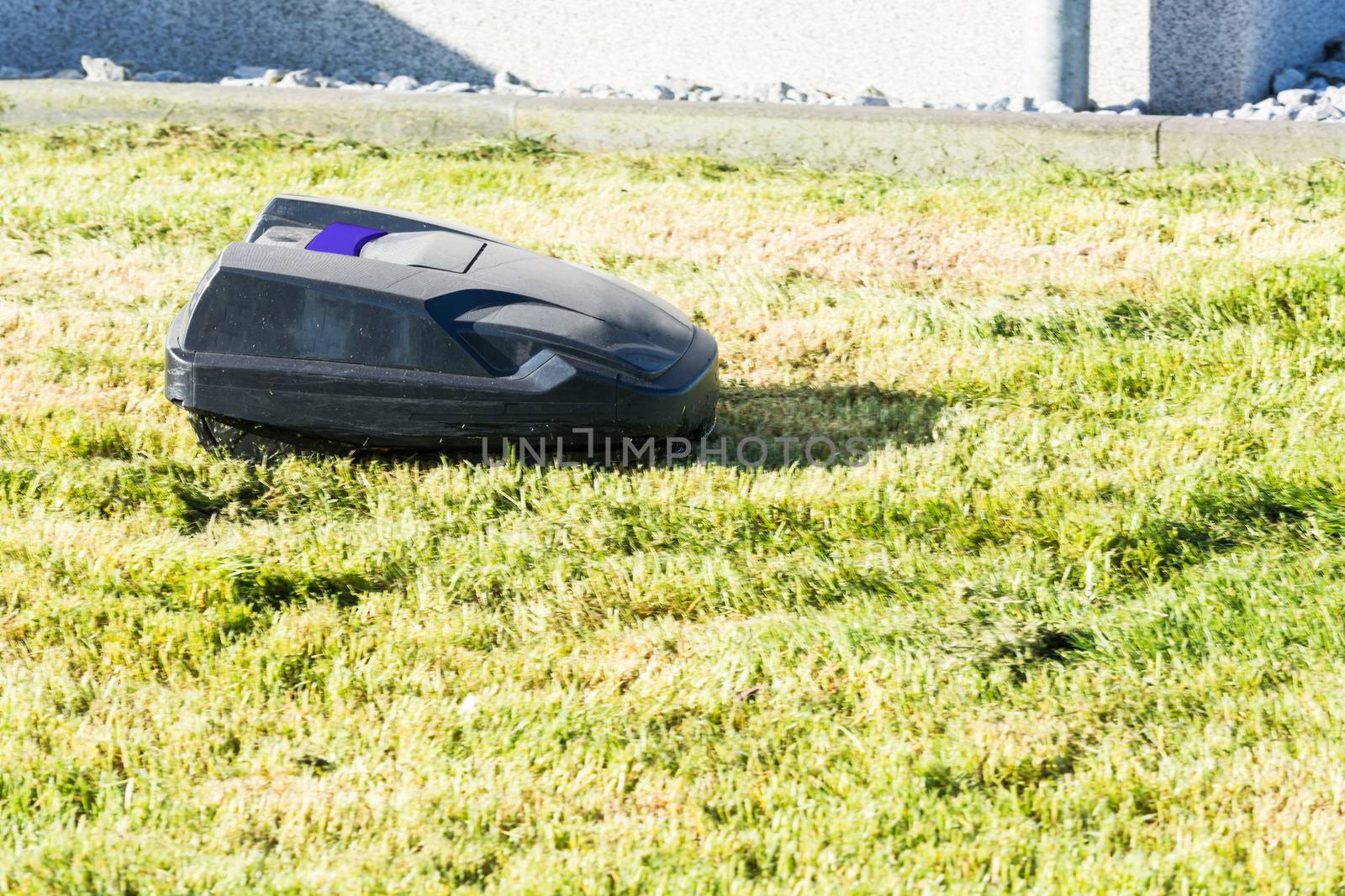 Lawnmower robot, automatic lawn mower that mows the lawn in a garden