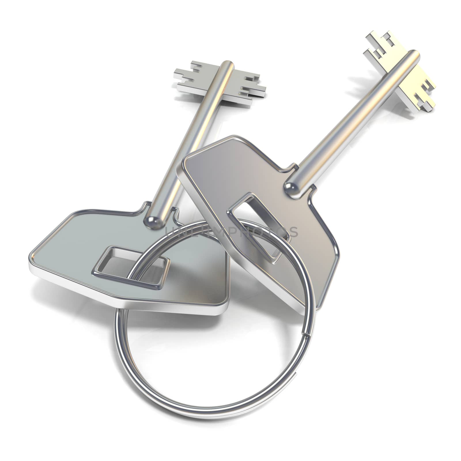 Door keys. 3D render illustration isolated on white background