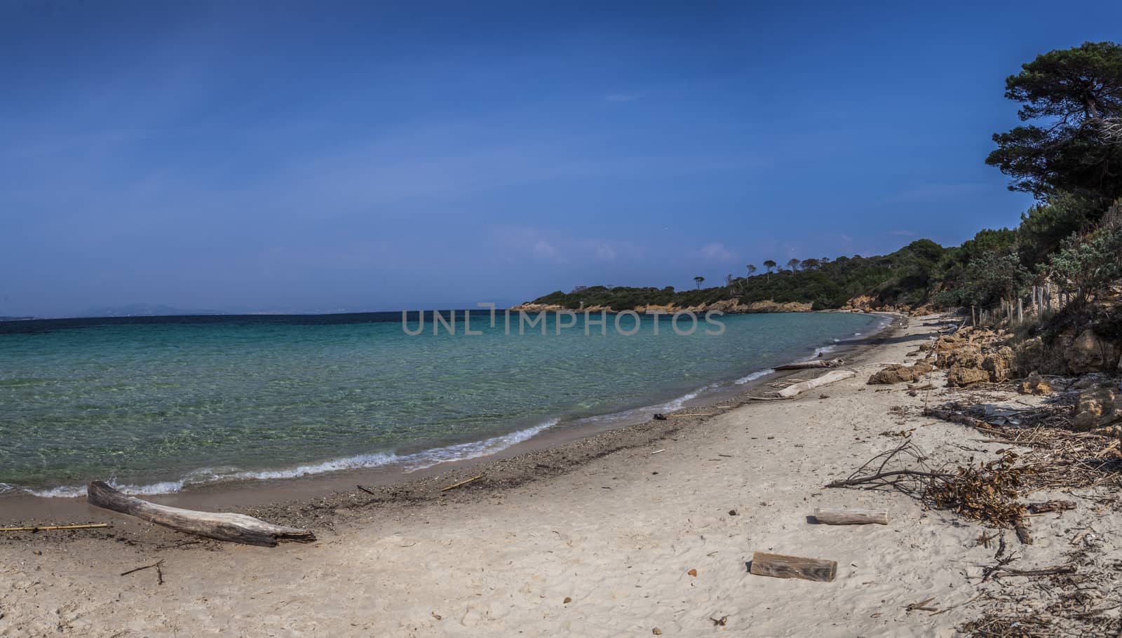 Narrow beach with woods and trees without people in Porquerolles Island