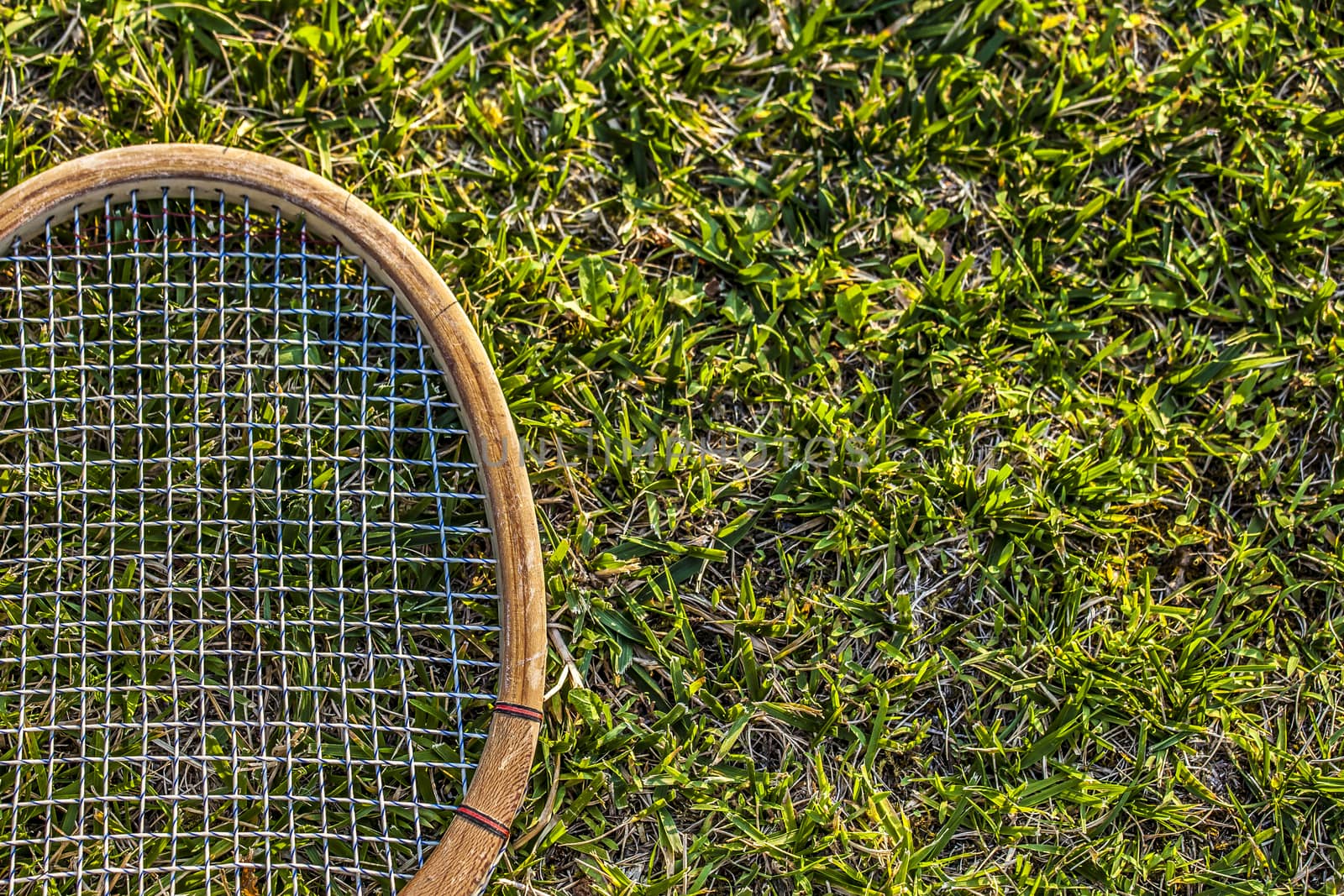 Vintage wood tennis racket on grass garden