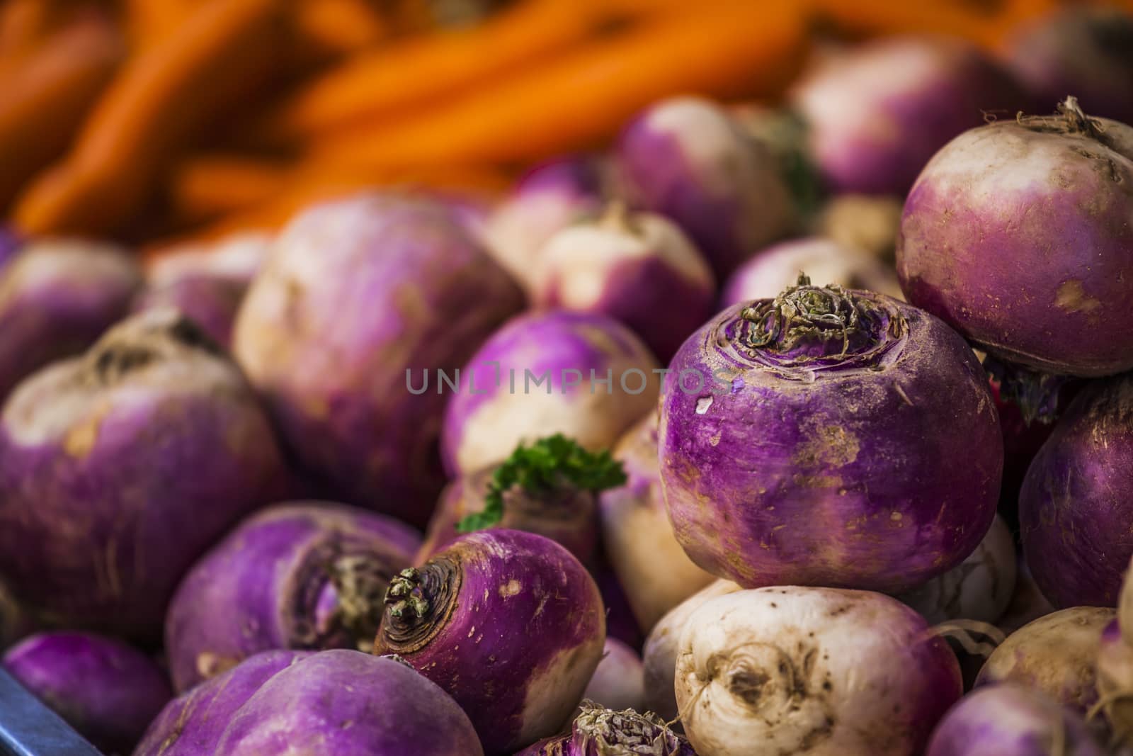 Close-up of purple and white onion background at french market
