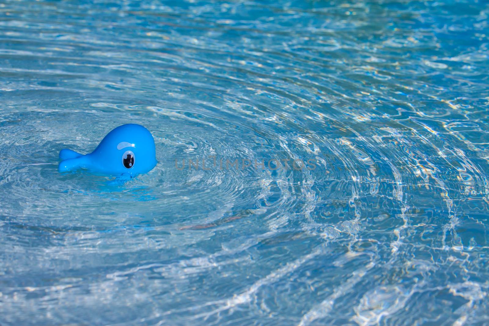 A whale shape baby toy swimming in a pool
