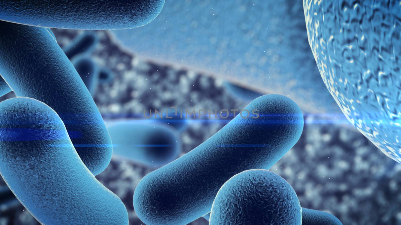 3D rendering of Bacterial infection under microscope