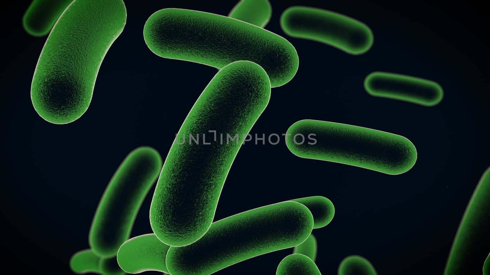 3D rendering of bacteria cells