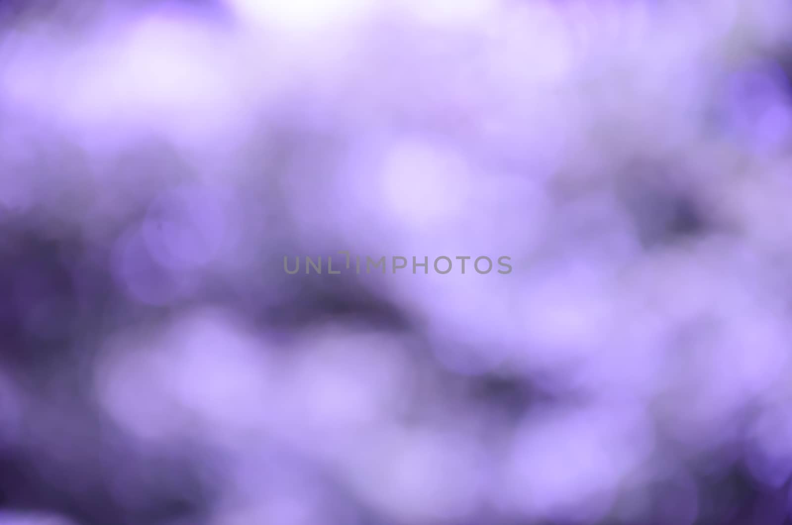 Purple light blur background by worrayuth