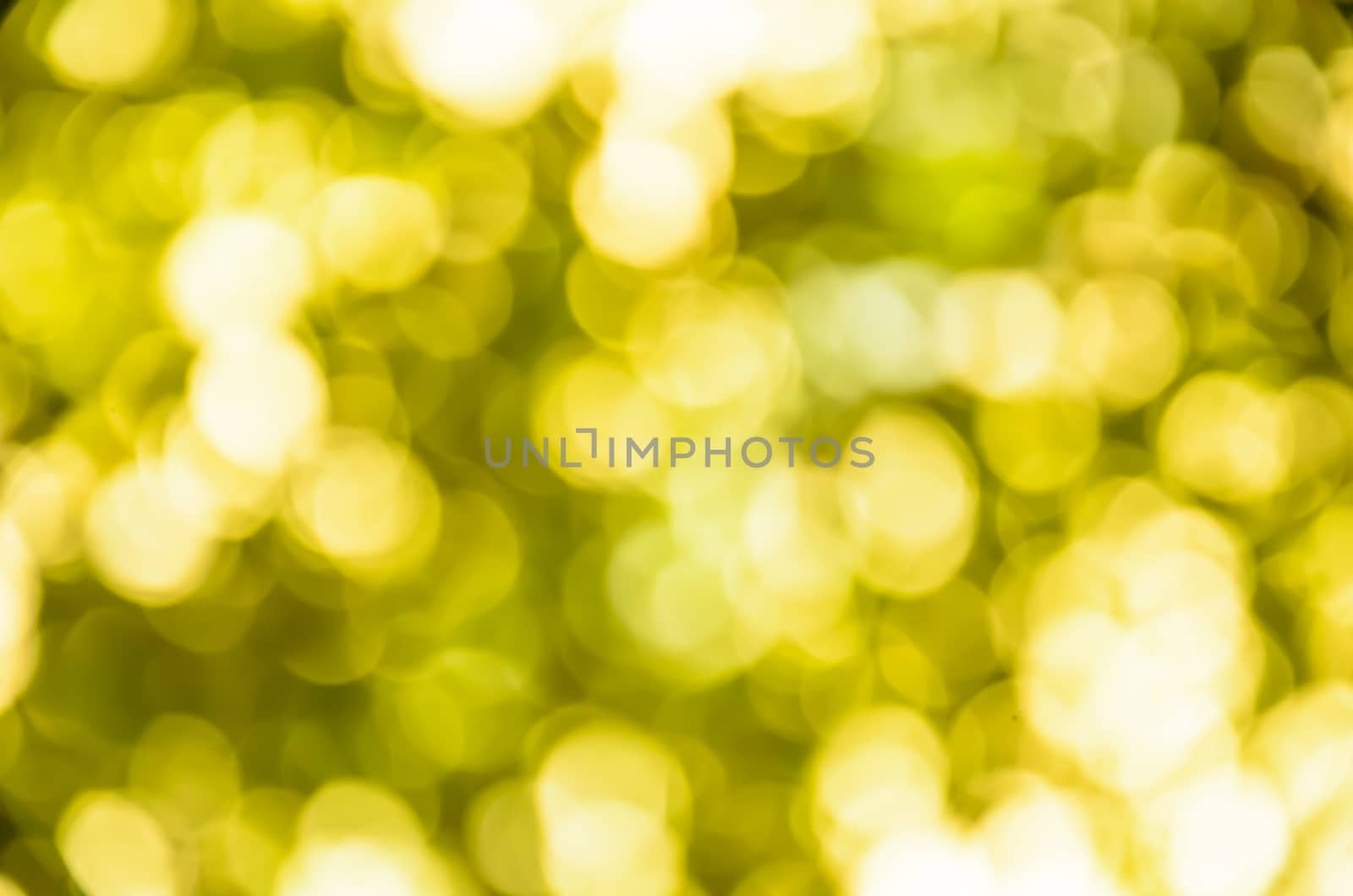 Light blur and bokeh yellow color background