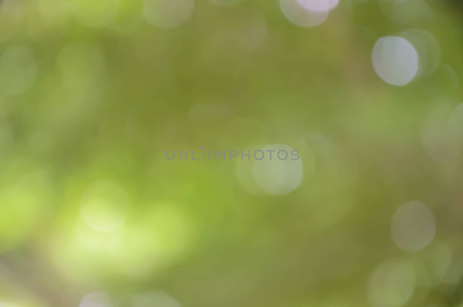 Light blur green color background by worrayuth