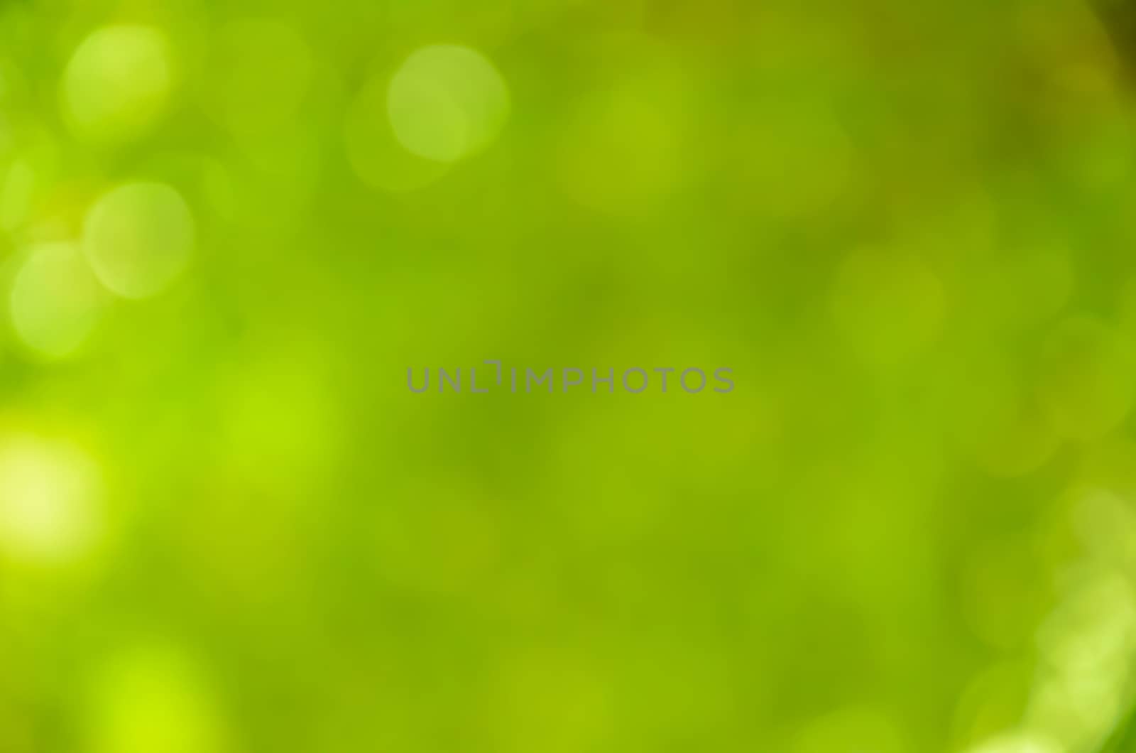 Bokeh background green lemon color and blur