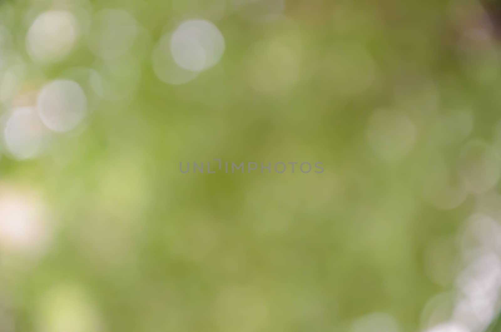 Bokeh background soft green color and blur by worrayuth