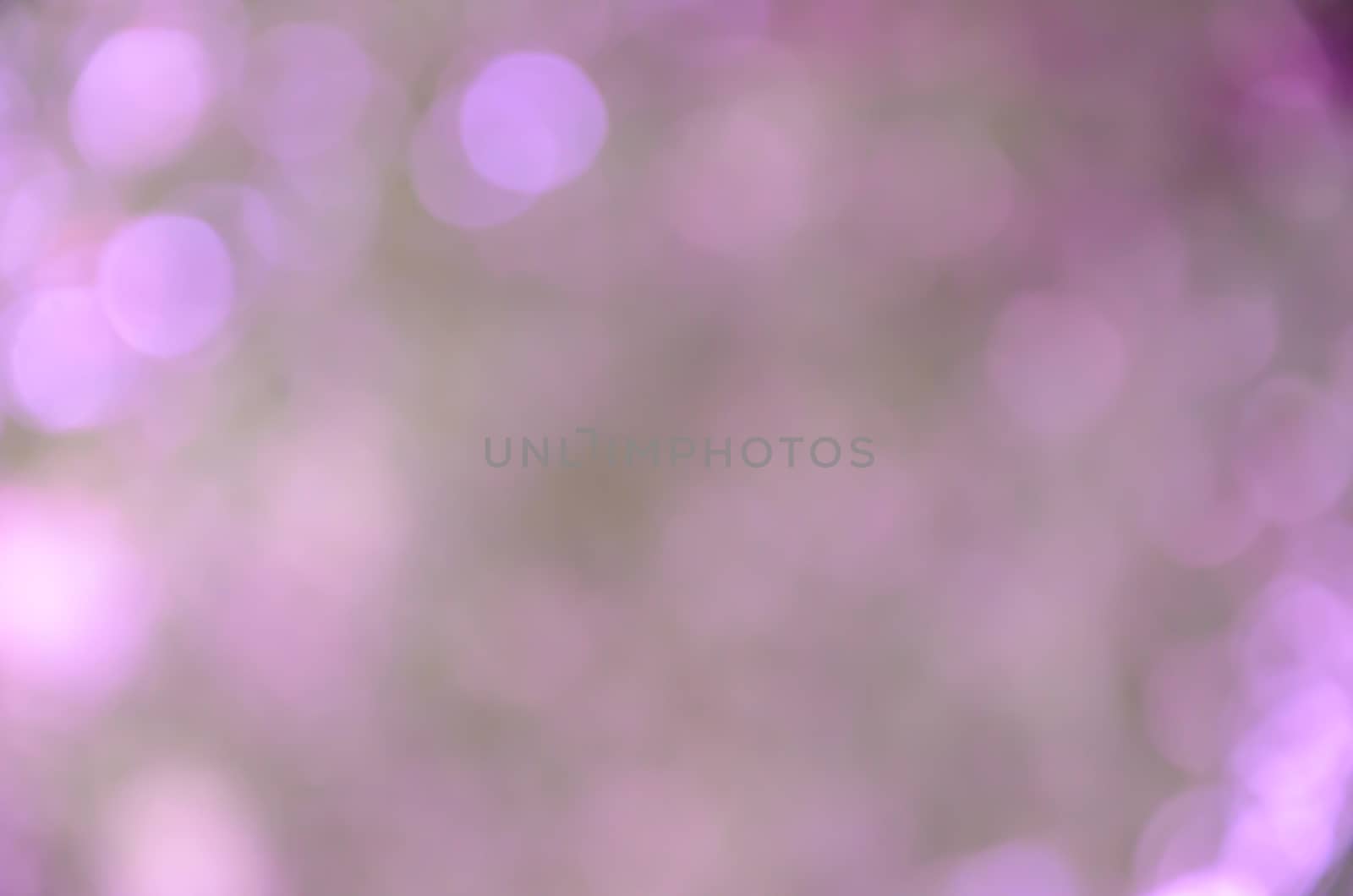 Bokeh background soft purple color and blur
