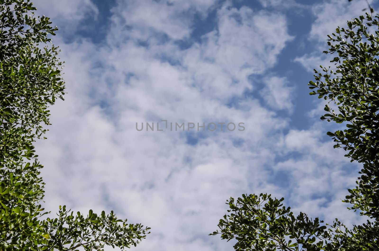 Blue sky with white clouds by worrayuth