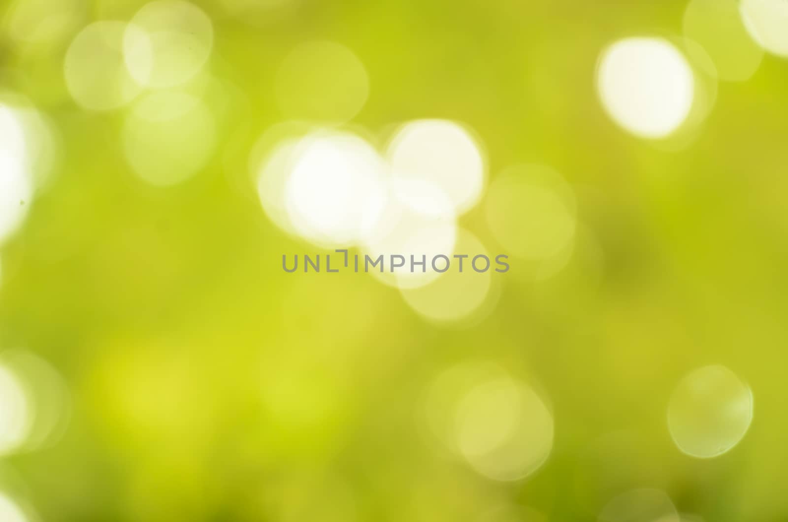 Bokeh and light soft green color background by worrayuth