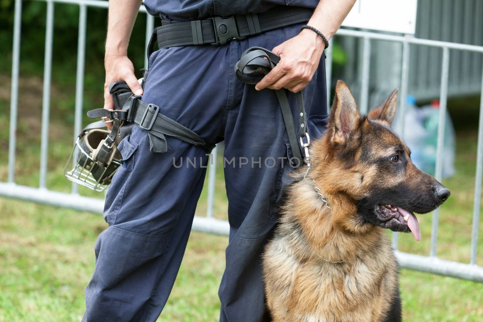 Police dog. Policeman with a german shepherd on duty. by wellphoto