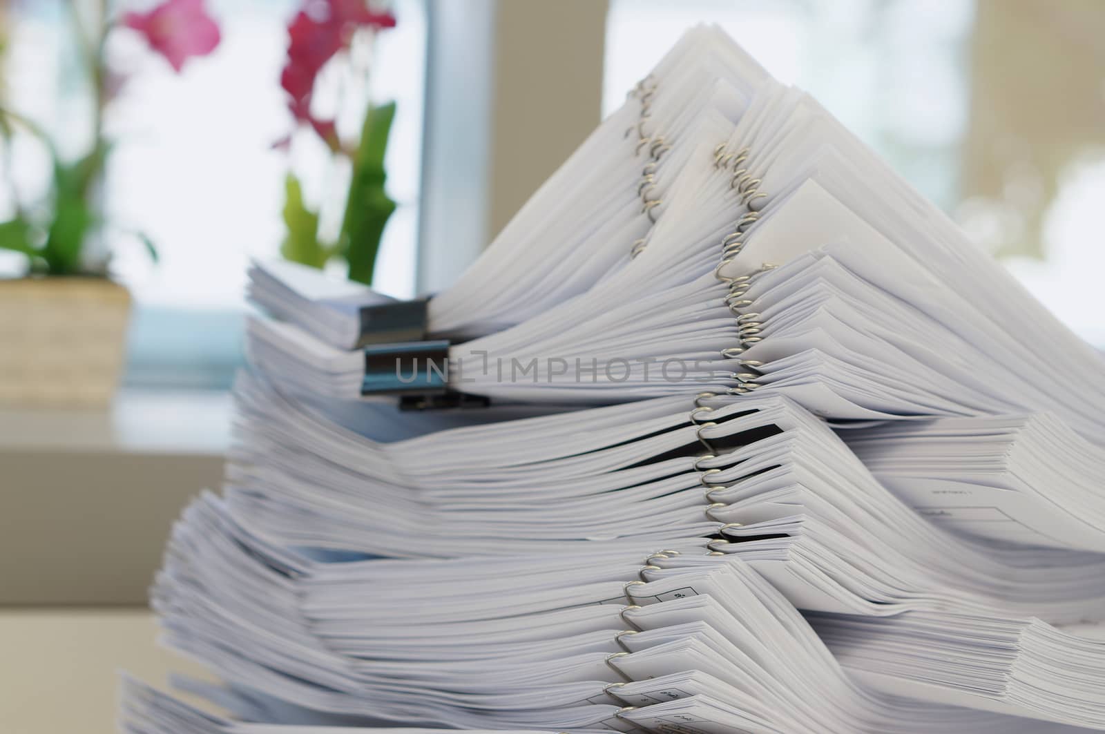 Many stack of white document were put  on office background.