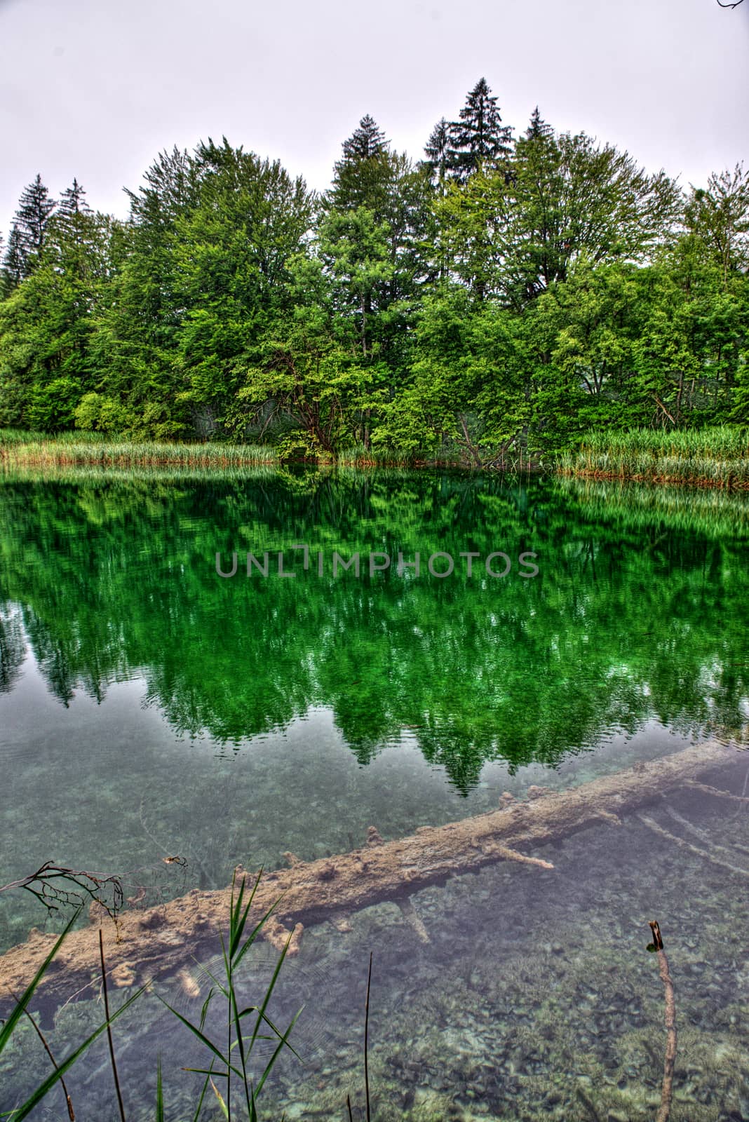 nice Plitvice Lakes national park waterfall, Plitvica, croatia