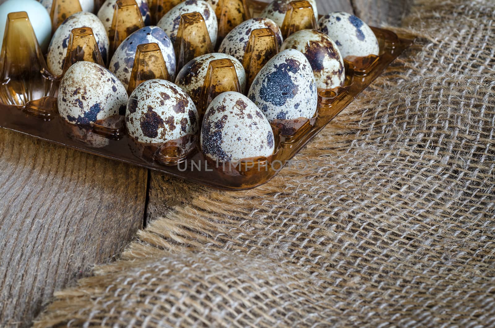 Quail eggs in a plastic stand on the old wooden background