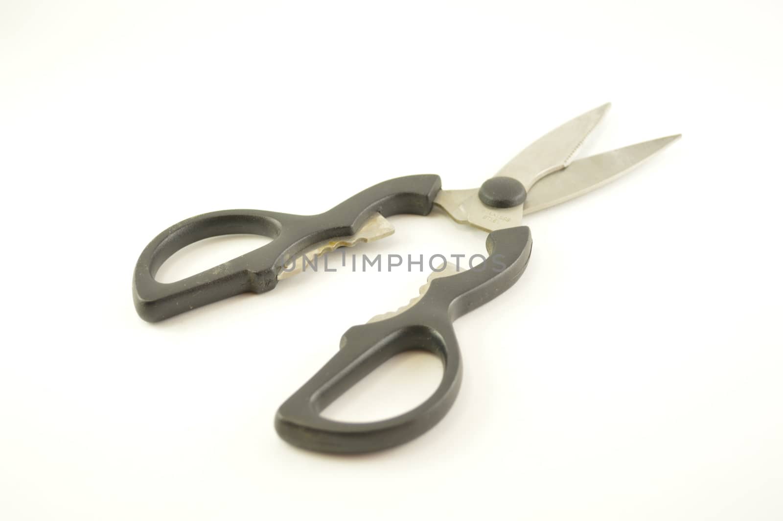 Shears for poultry isolated on white background
