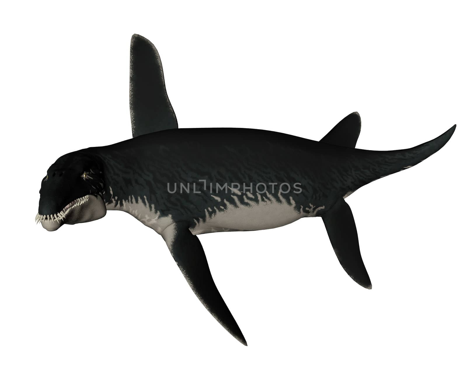 Liopleurodon prehistoric fish swooping isolated in white background - 3D render