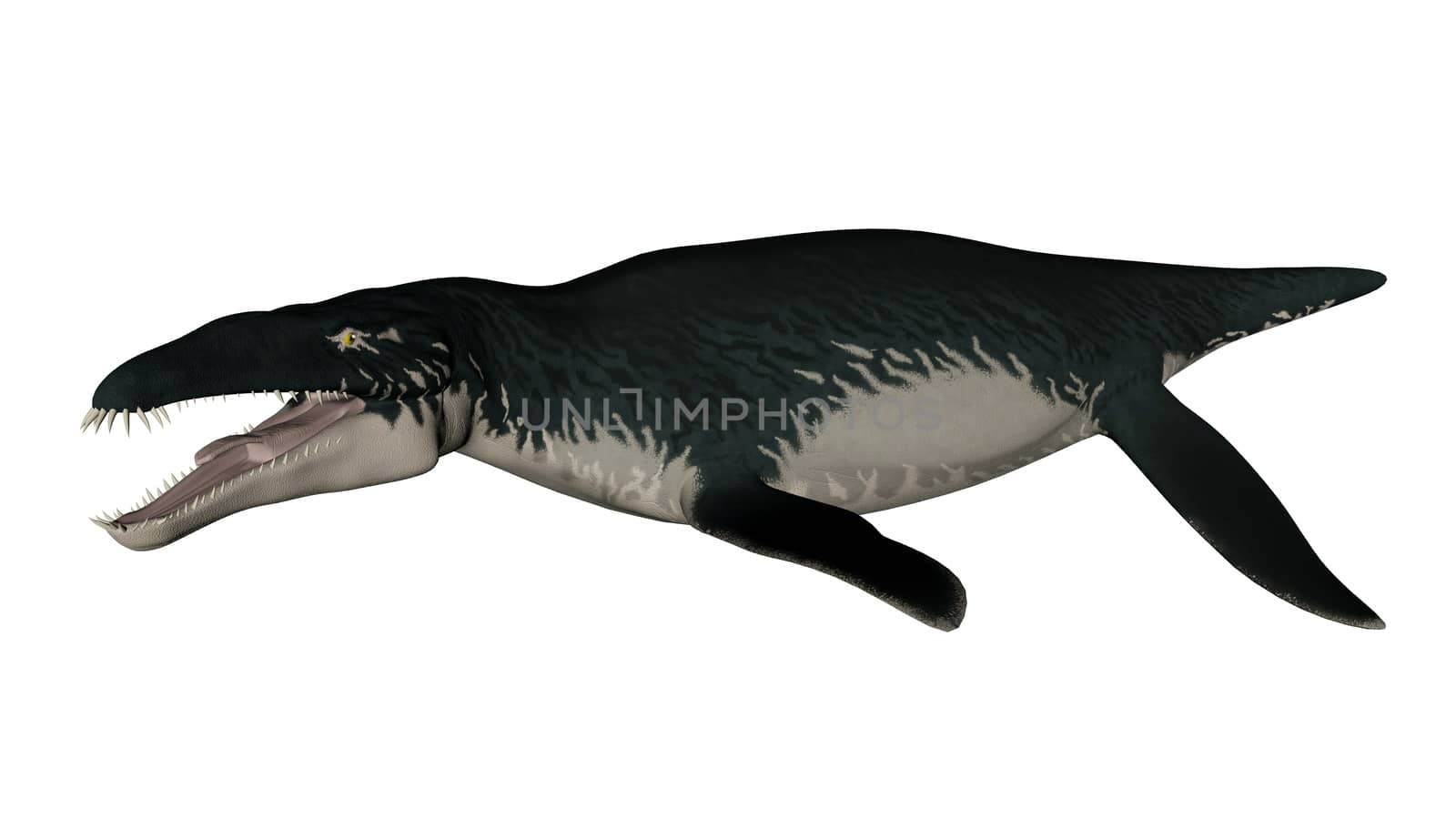 Liopleurodon prehistoric fish with open mouth isolated in white background - 3D render