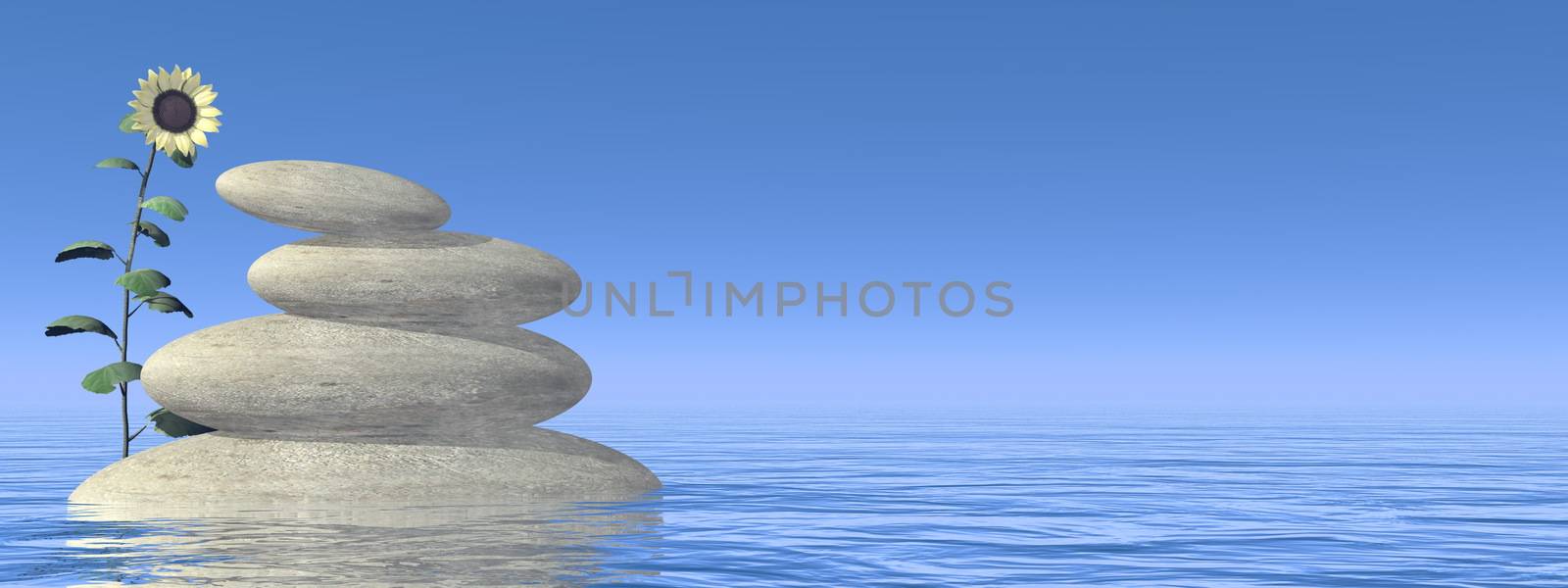 Zen stones and sunflower upon water in blue background - 3D render