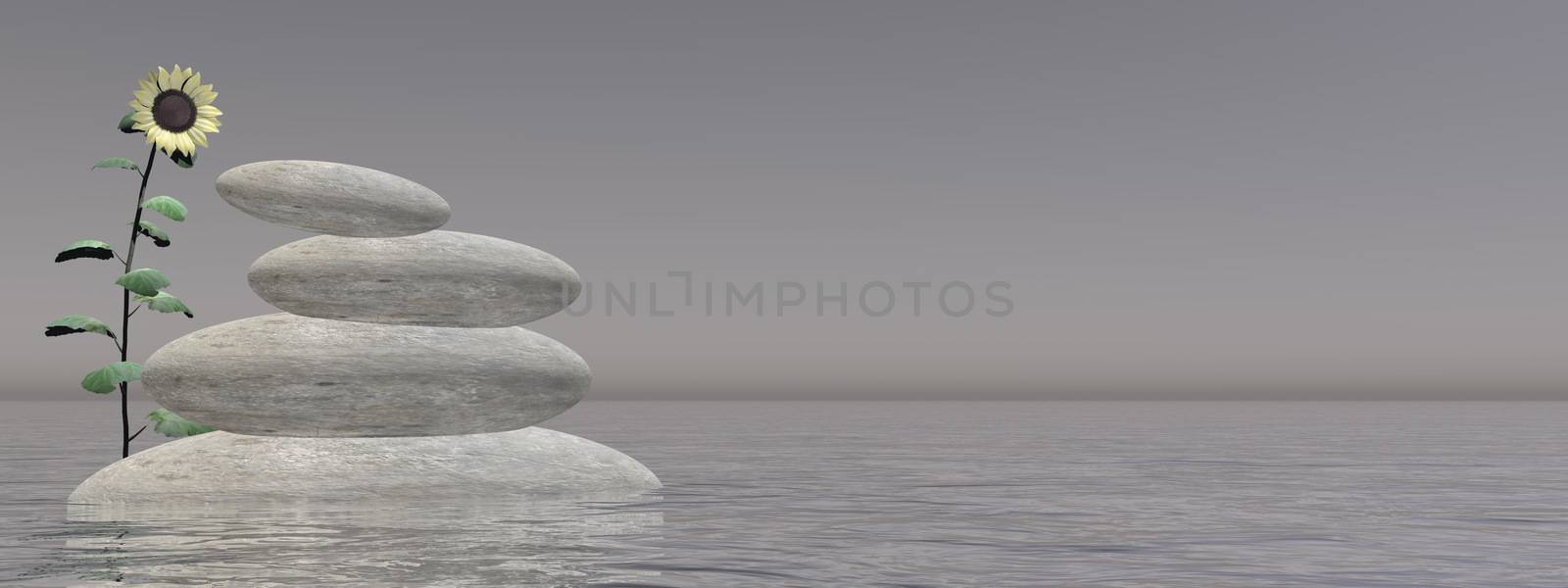 Zen stones and sunflower upon water in blue background - 3D render