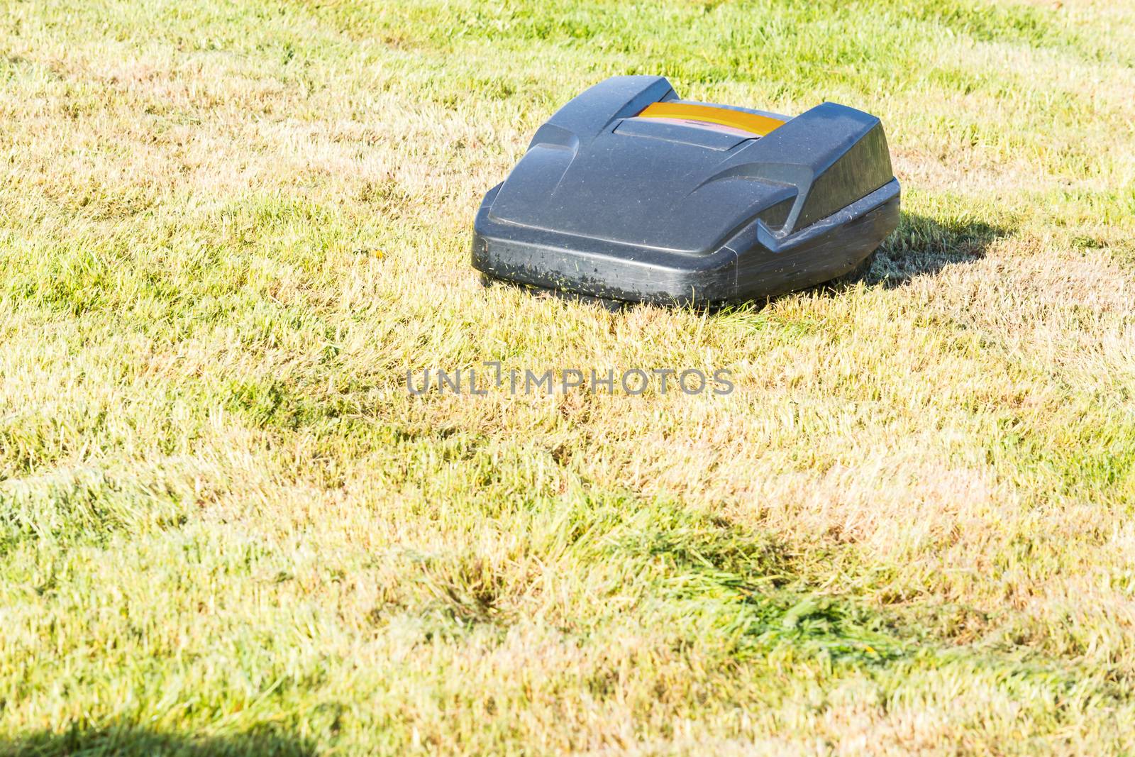 Automatic lawn mower mows the lawn by JFsPic