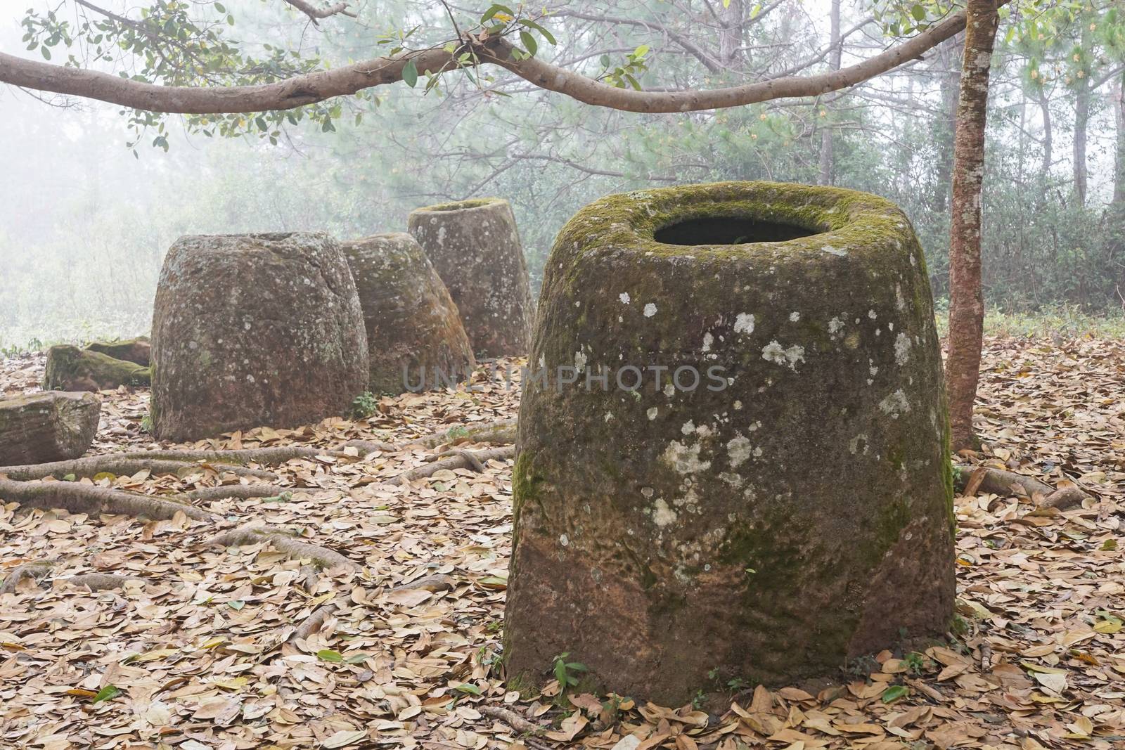 Plain of Jars on a foggy morning, Laos, Asia