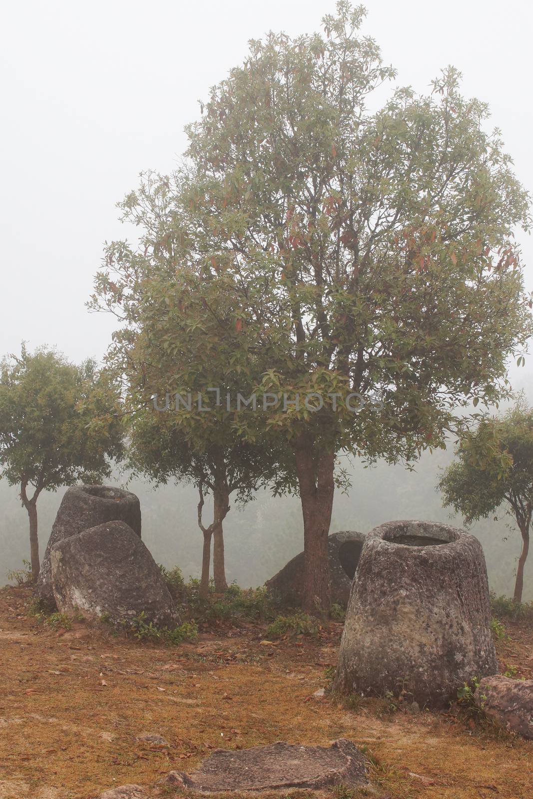 Plain of Jars on a foggy morning, Laos, Asia