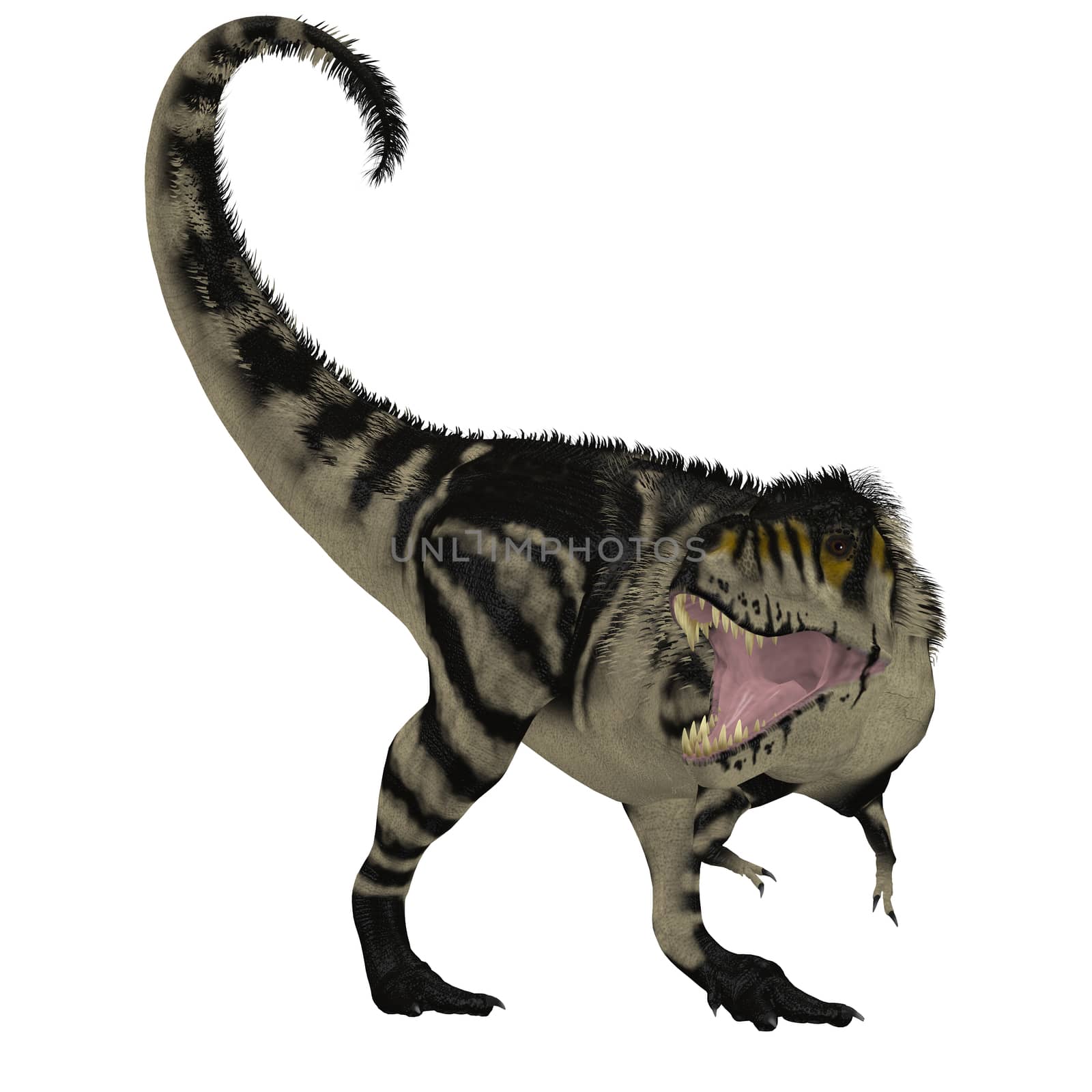 Black White T-Rex Dinosaur by Catmando
